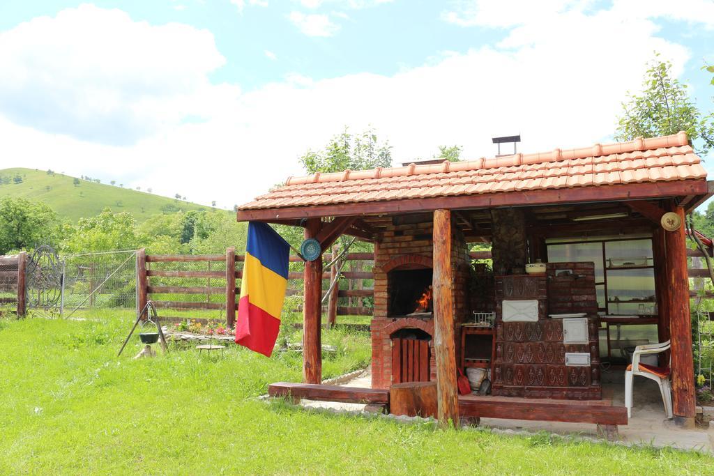 Cabana Ollie Retezat Riu Barbat Esterno foto
